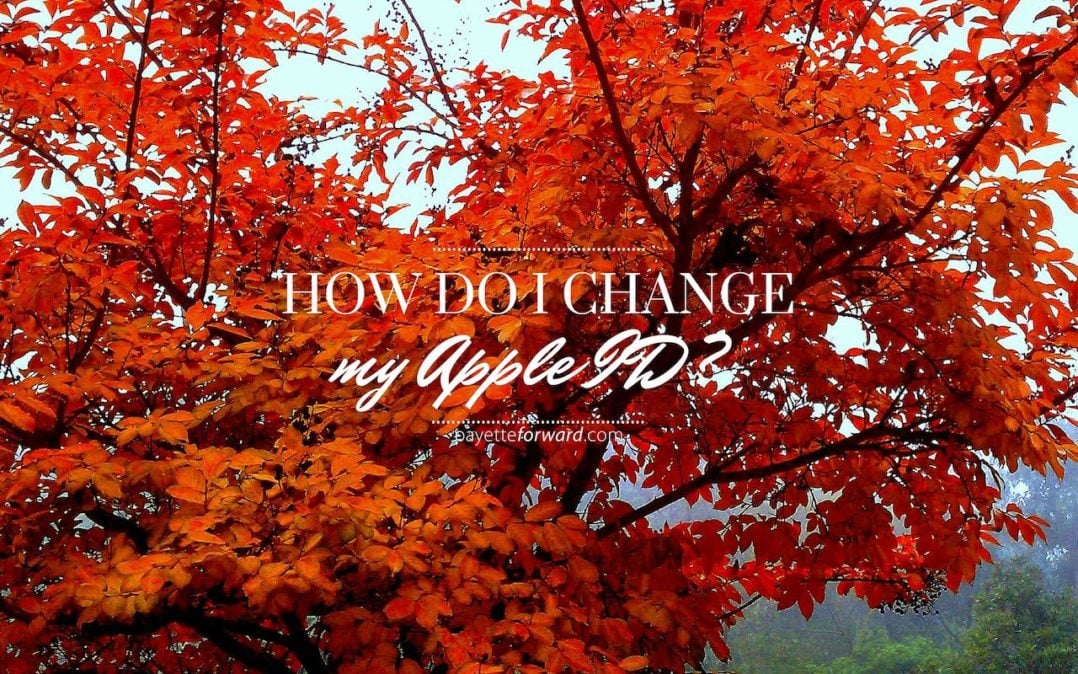 how-do-i-change-my-apple-id-on-my-iphone-the-fix