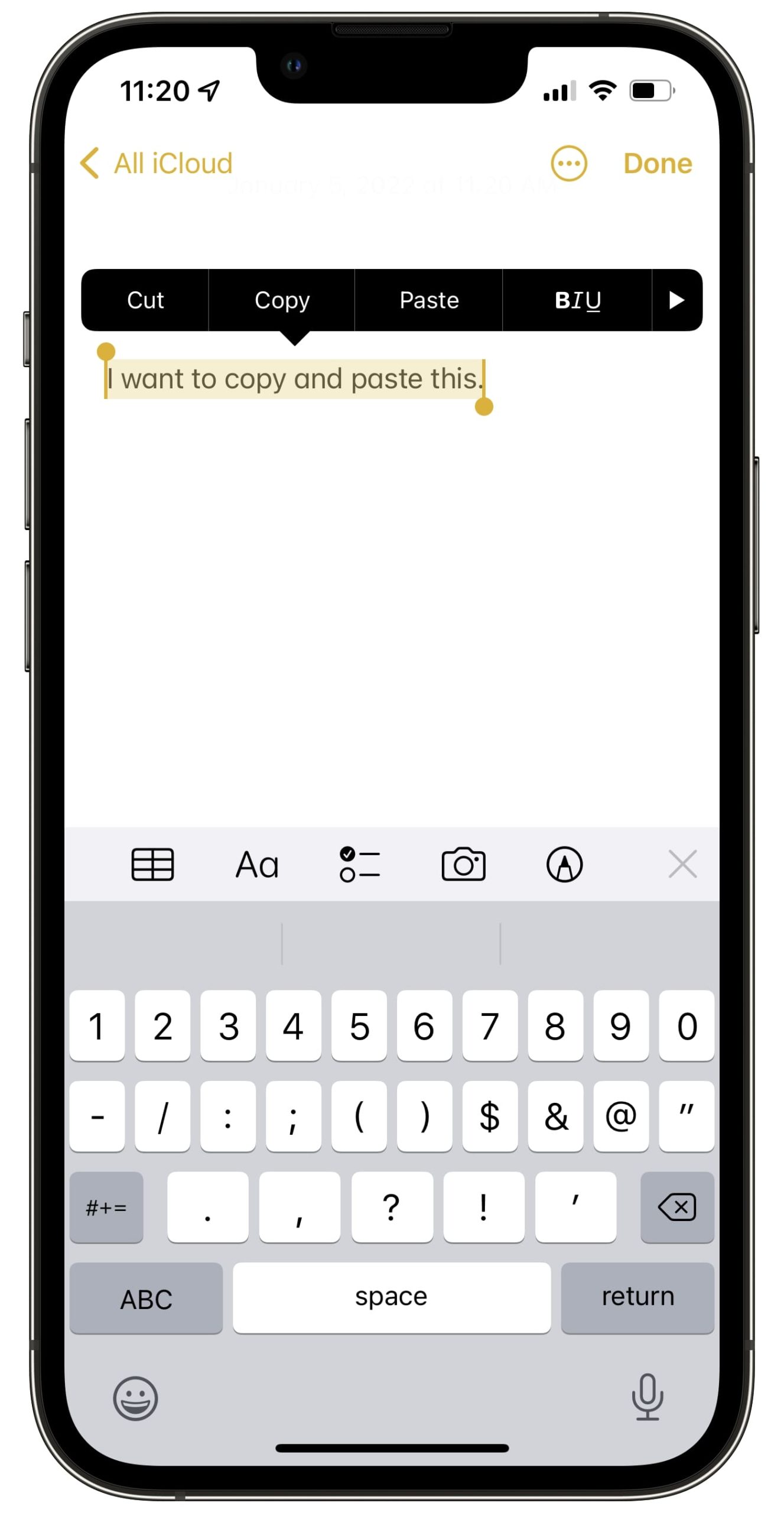 how to copy paste text in iphone