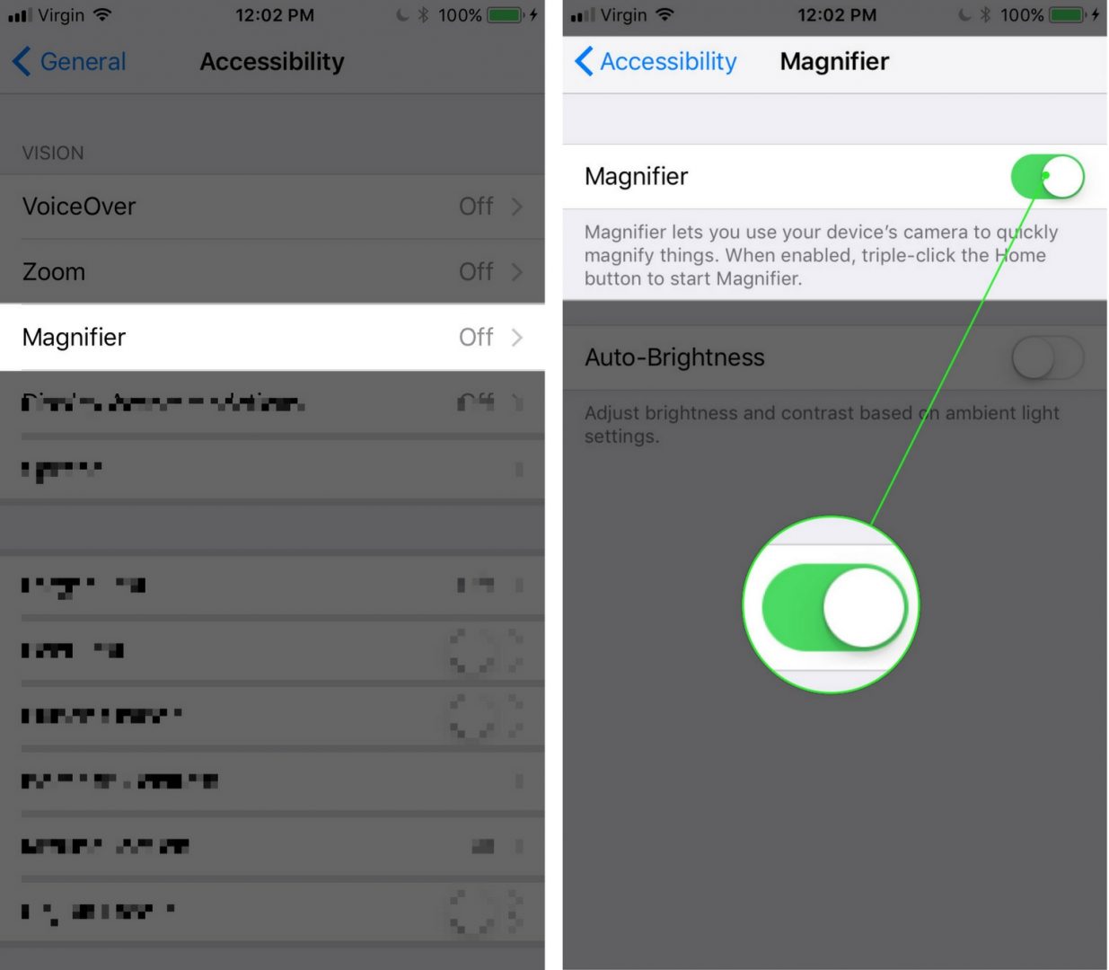 What Is Magnifier On An iPhone & How Do I Use It? Here's The Truth!