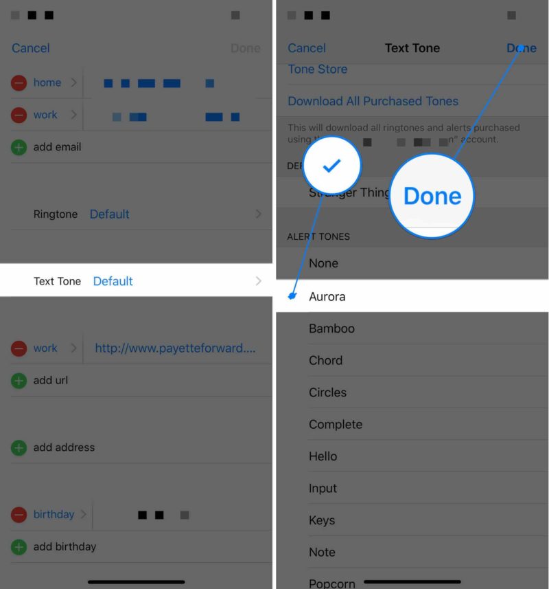 How To Set A Ringtone For A Contact On Your iPhone: The Easy Guide!